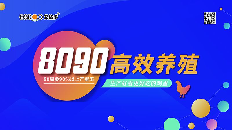 四會連開，艾格多8090高 效養(yǎng)殖700天唐山區(qū)域線下交流會成功舉辦