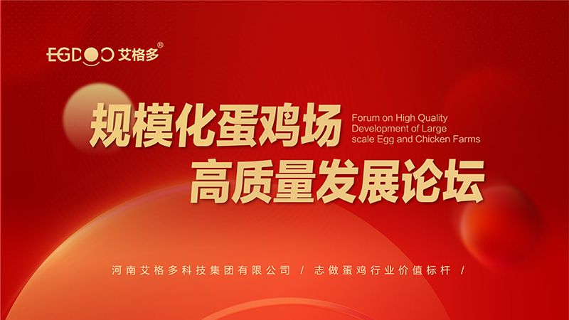 艾格多集團(tuán)-規(guī)?；半u場(chǎng)高質(zhì)量發(fā)展論壇圓 滿成功