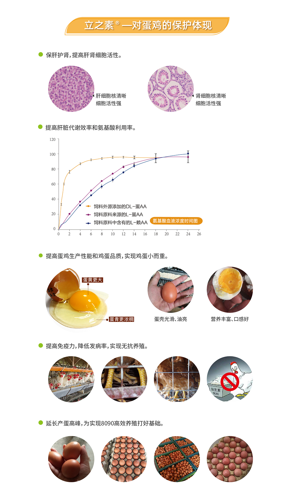 20220606 EA系列_產(chǎn)品詳情頁(yè)_畫板 3